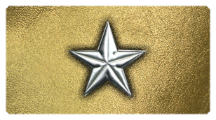 DSC700 430 SL GD Star Silver Gold